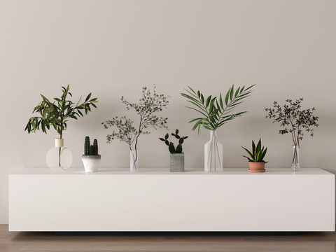  花瓶 花艺 水生植物 绿植3d模型 