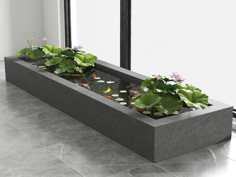 锦鲤池 原生水槽养鱼 荷花池3d模型 