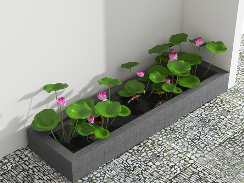  新中式锦鲤池 荷花池3d模型 
