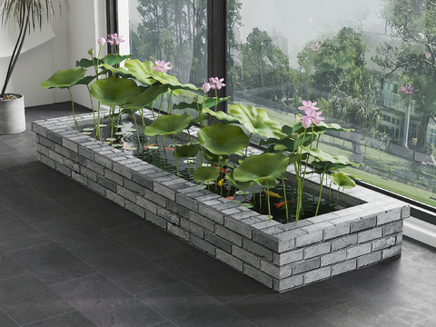  锦鲤池 原生水槽养鱼 荷花池 鱼池3d模型 