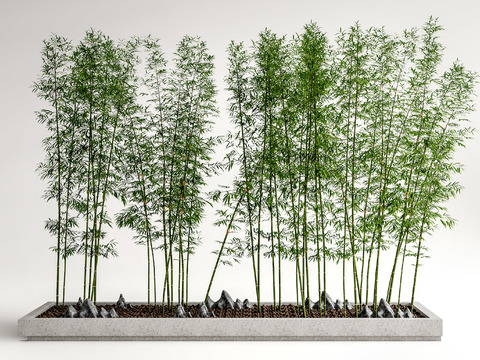  竹子 竹林3d模型 