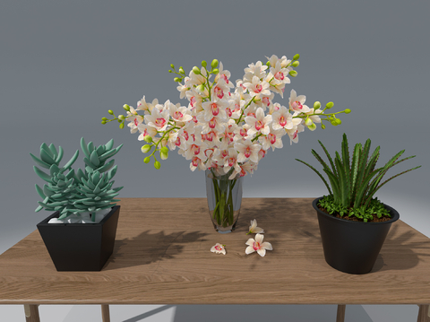 花卉花瓶 桌面小盆栽3d模型 