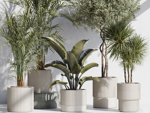  绿植盆栽3d模型 