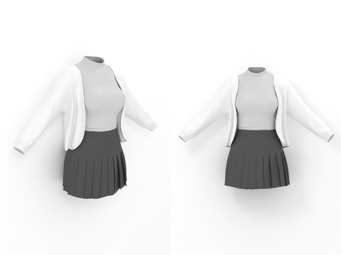  女性服装 背心外套 百褶裙 裙子 女装 服饰 衣服3d模型 