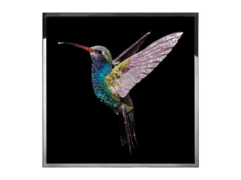 Visionnaire 小鸟挂画3d模型 
