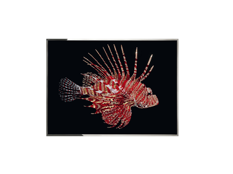  Visionnaire PESCE SCORPIONE挂画3d模型 
