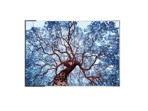  Visionnaire TREE OF DREAM挂画3d模型 