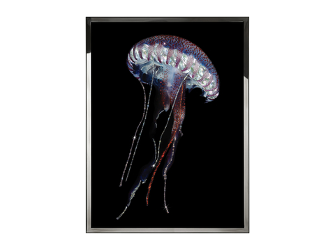  Visionnaire STENO挂画3d模型 