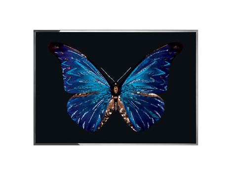  Visionnaire 蝴蝶挂画3d模型 
