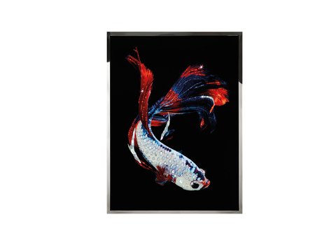  Visionnaire Betta Splendes挂画3d模型 