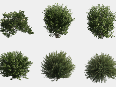  灌木球 绿植组合3d模型 