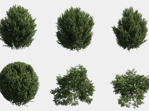  灌木球 绿植组合3d模型 