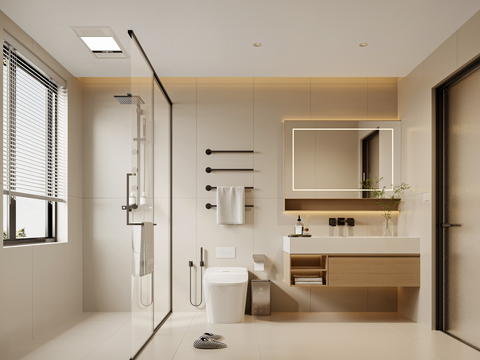  现代卫生间 洗手柜 马桶 淋浴房 干湿分离3d模型 