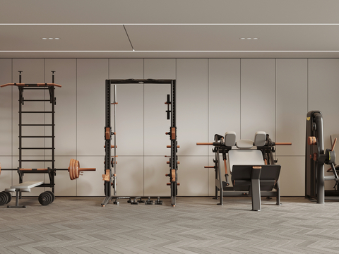  现代健身器材3d模型 