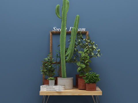  现代绿植 盆栽 植物 仙人掌3d模型 