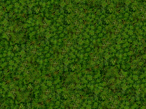  无缝园林庭院景观绿色苔藓草坪草地草皮地面 