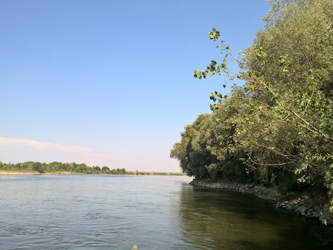  河流小溪景观风景 