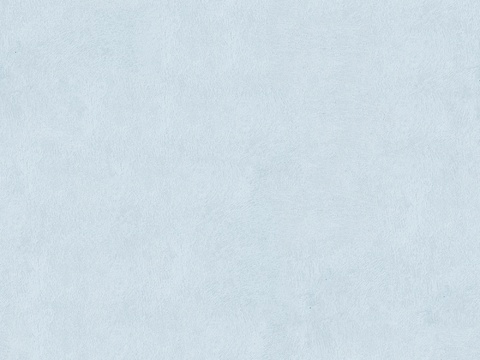  无缝墙面肌理漆 