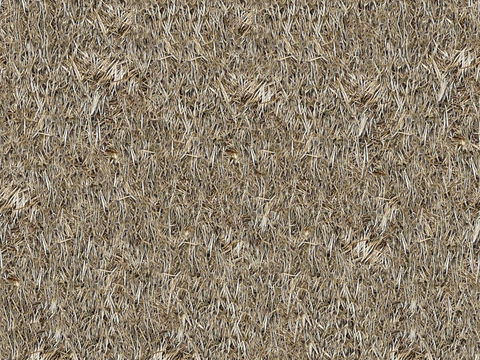  无缝干枯干草稻草茅草屋顶墙面 