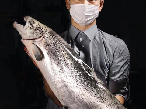  日本料理寿司餐饮海报贴图 