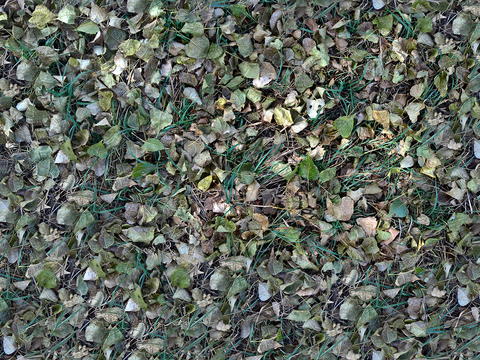  无缝枯枝落叶草皮草地草坪地面 