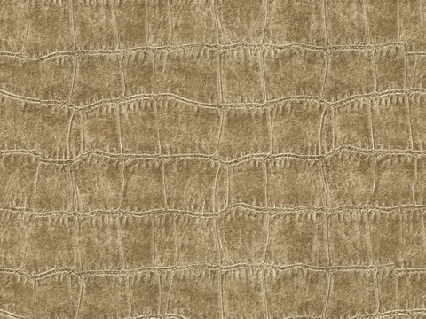  浅色鳄鱼纹皮革 