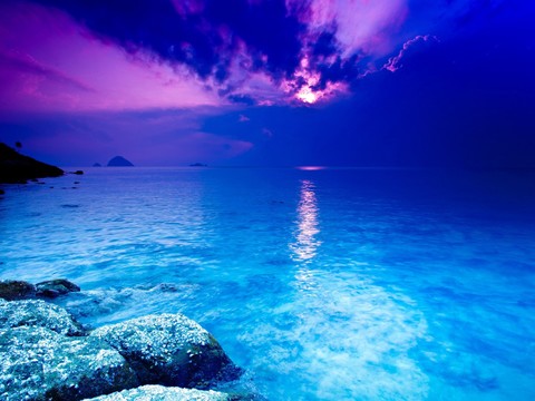  大海 