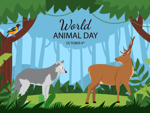  可爱儿童卡通森林动物狮子老虎长颈鹿插画海报图案 