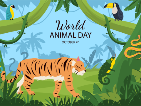  可爱儿童卡通森林动物狮子老虎长颈鹿插画海报图案 