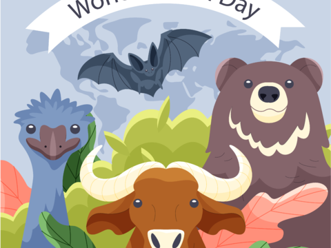  可爱儿童卡通森林动物狮子老虎长颈鹿插画海报图案 