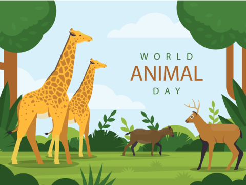  可爱儿童卡通森林动物狮子老虎长颈鹿插画海报图案 