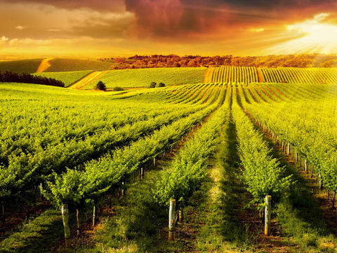  现代田园乡村外景 乡村风景 