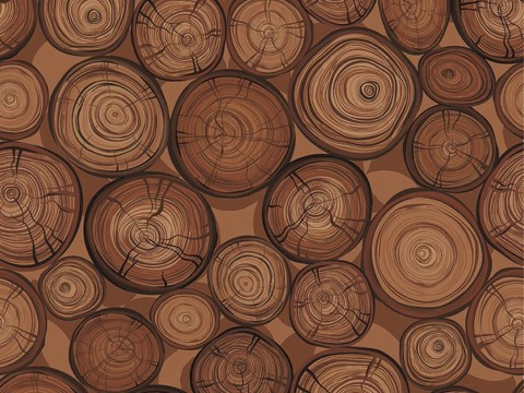 年轮墙纸 