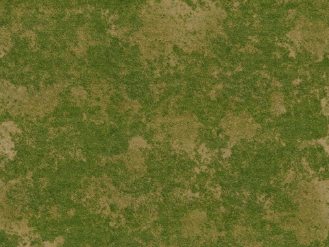  高清草坪 草皮地面 草地 植物 草丛灌木绿植地面 