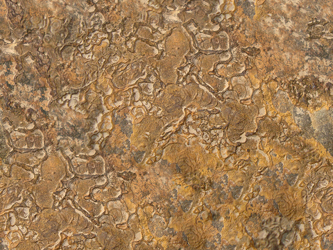  无缝黄色文化石墙岩石材墙面 