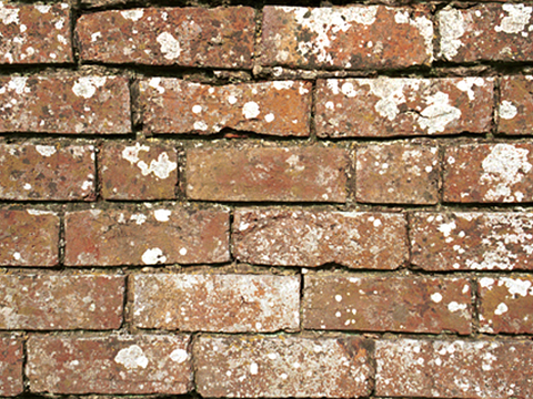  红色 破墙砖 墙砖 墙面 外墙砖 