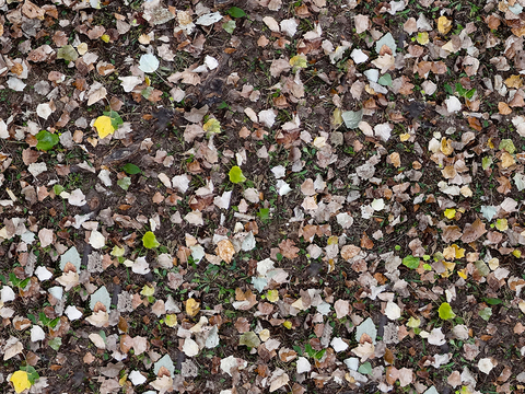  无缝枯黄枯枝落叶树叶草皮草地草坪道路地面 