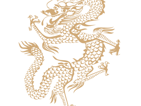  高清免扣 古代龙纹 复古图案 图腾 龙凤 