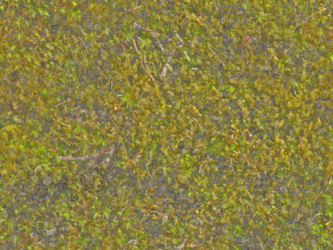  地面铺装脏旧凹凸 