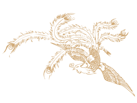  高清免扣 古代龙纹 复古图案 图腾 龙凤 