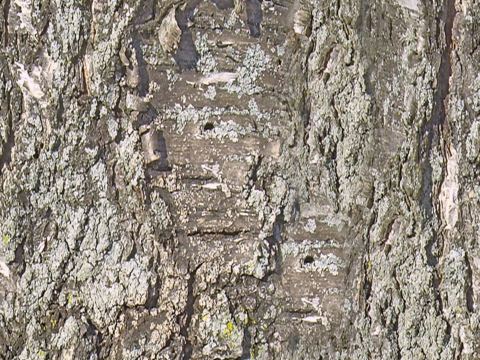  地面铺装脏旧凹凸 