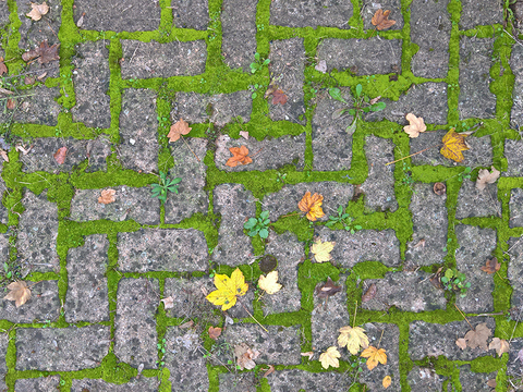  无缝人字纹拼花水泥地砖人行道路地面广场铺贴 