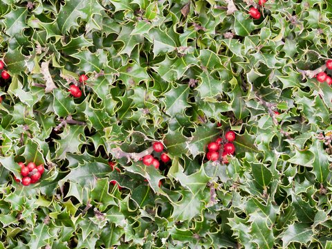  地面铺装脏旧凹凸 
