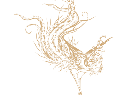  高清免扣 古代龙纹 复古图案 图腾 龙凤 