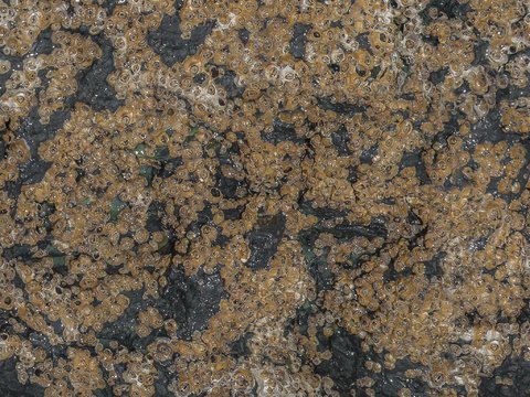  地面铺装脏旧凹凸 