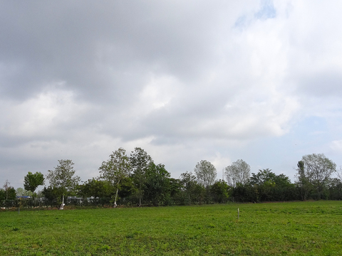  多云的天空景观风景 