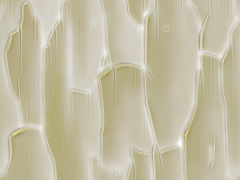  王座室环境套件 