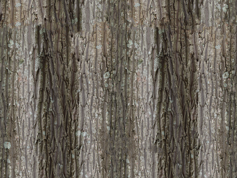  王座室环境套件 