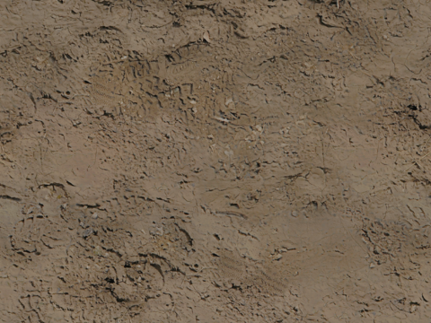  王座室环境套件 