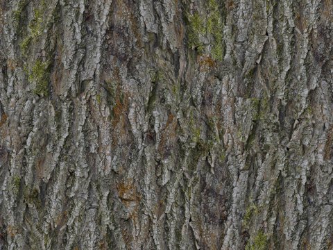  地面铺装脏旧凹凸 